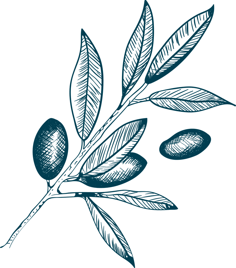 Olive leaves